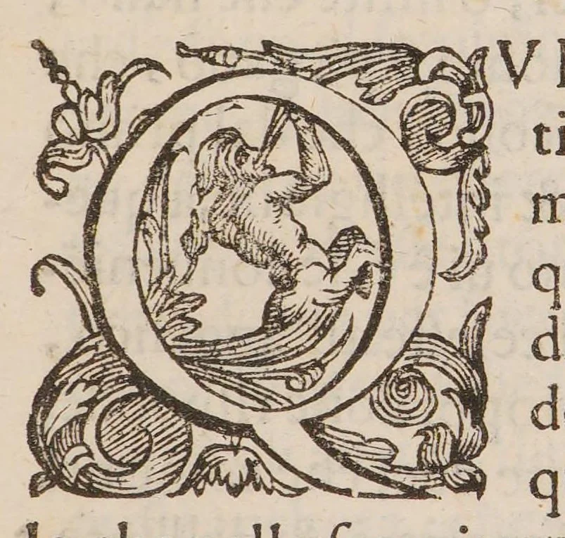 An illustration from Discorso della vecchia et nuova medicina, nel quale si ragiona delle cose ritrouate à nostri secoli, e particolarment dell'oro artificiale, 1592, leaf 13