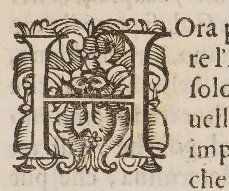 An illustration from Discorso della vecchia et nuova medicina, nel quale si ragiona delle cose ritrouate à nostri secoli, e particolarment dell'oro artificiale, 1592, leaf 35
