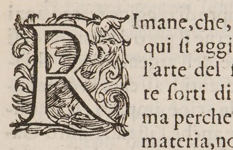 An illustration from Discorso della vecchia et nuova medicina, nel quale si ragiona delle cose ritrouate à nostri secoli, e particolarment dell'oro artificiale, 1592, leaf 45