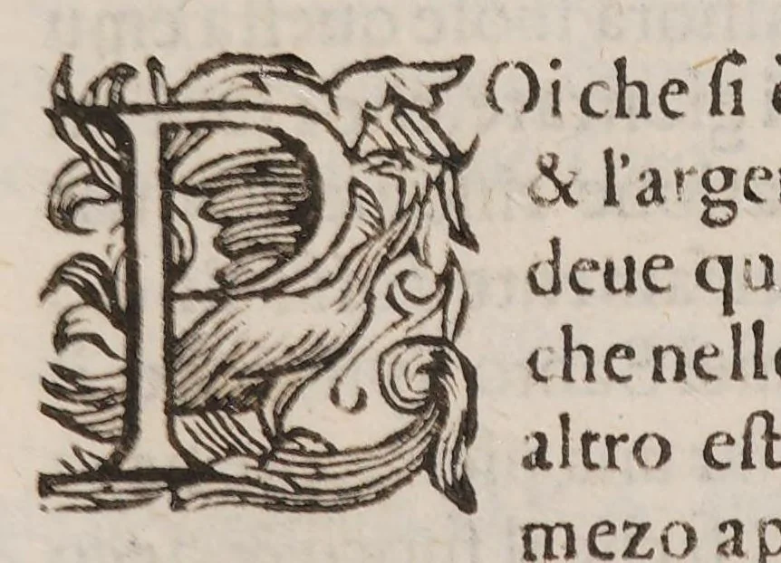 An illustration from Discorso della vecchia et nuova medicina, nel quale si ragiona delle cose ritrouate à nostri secoli, e particolarment dell'oro artificiale, 1592, leaf 66