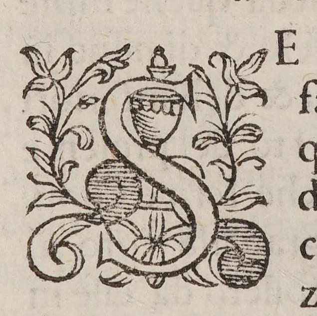 An illustration from Discorso della vecchia et nuova medicina, nel quale si ragiona delle cose ritrouate à nostri secoli, e particolarment dell'oro artificiale, 1592, leaf 80