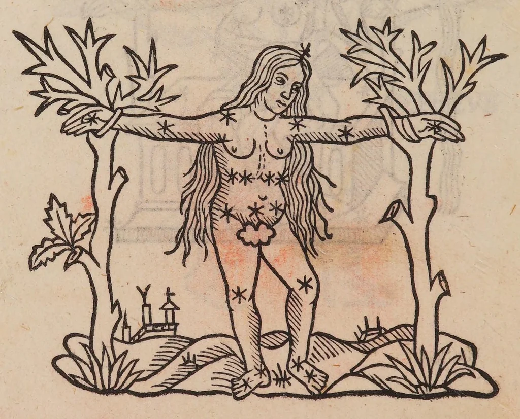 An illustration from Higinius de stellis, 1513, leaf 58