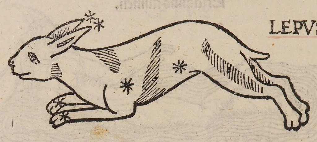 An illustration from Higinius de stellis, 1513, leaf 80