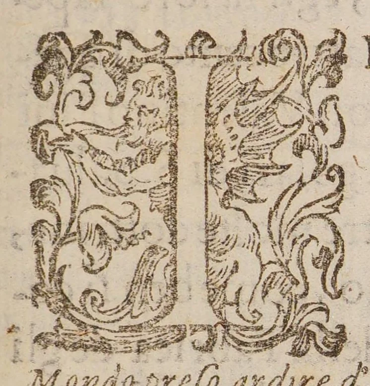 An illustration from Opvscvlvm de lineis rectis aeqvidistantibvs et non aeqvidistantibus, 1603, leaf 13