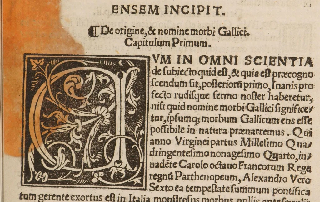 An illustration from Opus de morbo gallico, 1532, leaf 15
