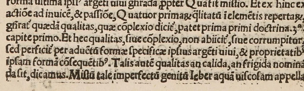 An illustration from Opus de morbo gallico, 1532, leaf 54