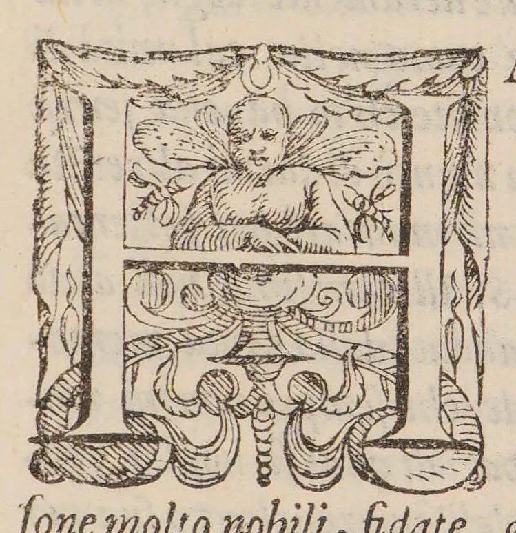 An illustration from Il trinciante di M. Vincenzo Cervio ..., 1581, leaf 17