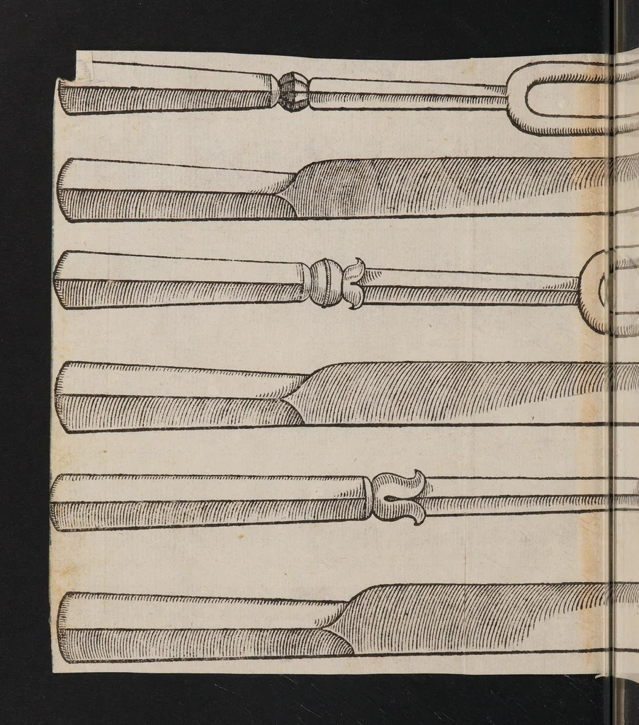 An illustration from Il trinciante di M. Vincenzo Cervio ..., 1581, leaf 26