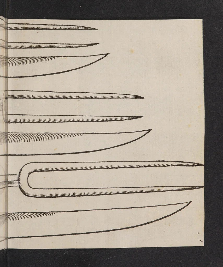 An illustration from Il trinciante di M. Vincenzo Cervio ..., 1581, leaf 27