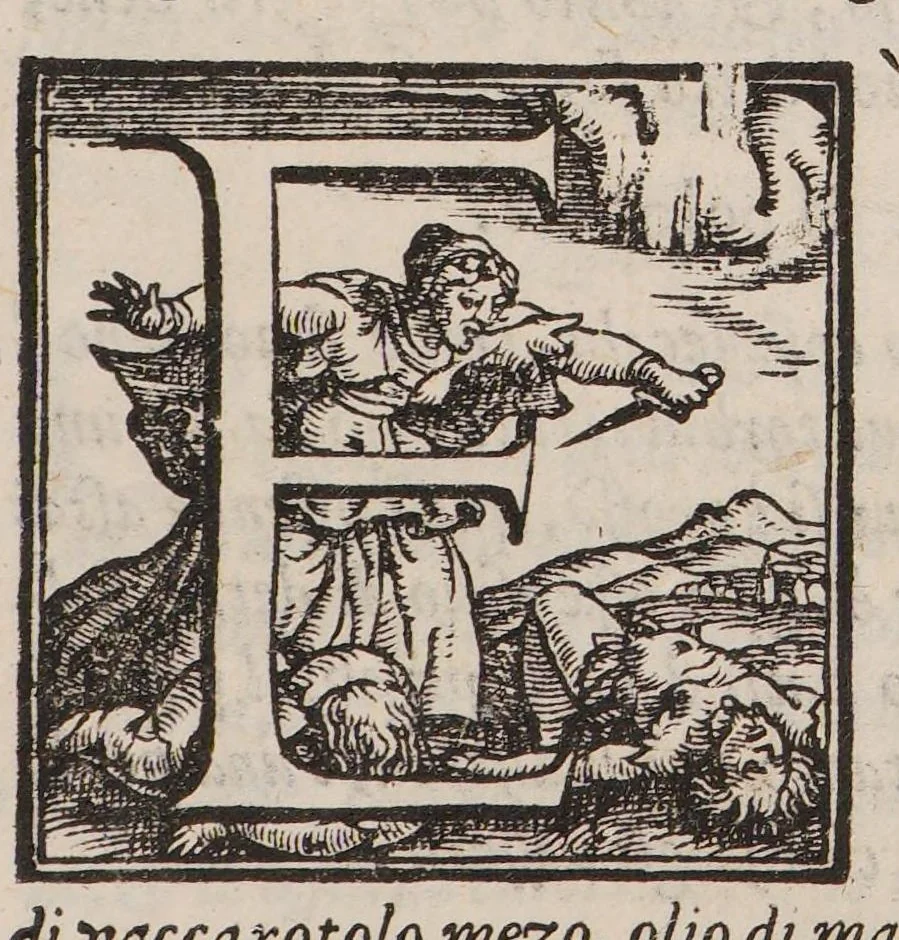 An illustration from Del conoscere le infermità che avvengono al cavallo et al bve, co' rimedij à ciascheduna di esse, 1589, leaf 113