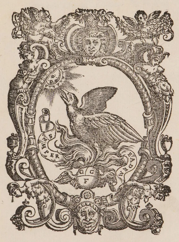 An illustration from Del conoscere le infermità che avvengono al cavallo et al bve, co' rimedij à ciascheduna di esse, 1589, leaf 153