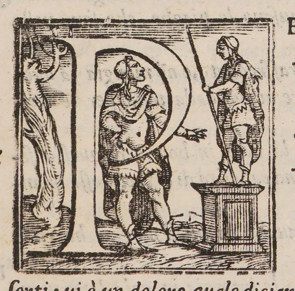 An illustration from Del conoscere le infermità che avvengono al cavallo et al bve, co' rimedij à ciascheduna di esse, 1589, leaf 17