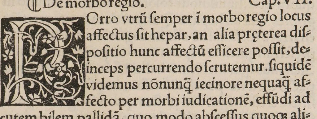 An illustration from Galeni De affectorum locorum notitia libri sex, 1513, leaf 227