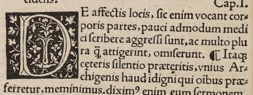 An illustration from Galeni De affectorum locorum notitia libri sex, 1513, leaf 96