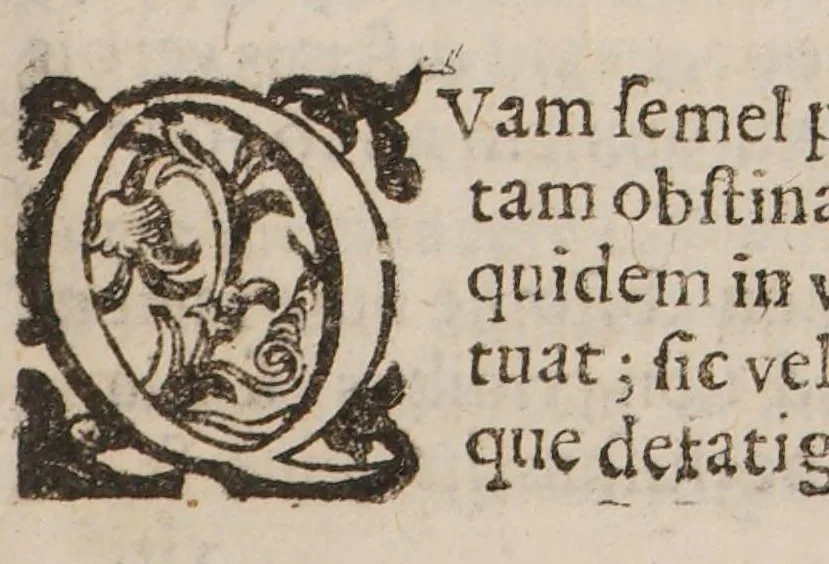 An illustration from Compendium maleficarum ex quo nefandissima in genus humanum opera venefica, ac ad illa vitanda remedia conspiciuntur ..., 1626, leaf 285