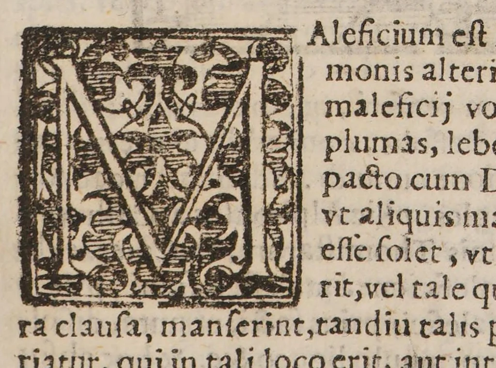 An illustration from Compendium maleficarum ex quo nefandissima in genus humanum opera venefica, ac ad illa vitanda remedia conspiciuntur ..., 1626, leaf 303