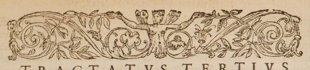 An illustration from Chirurgia magna, 1585, leaf 137