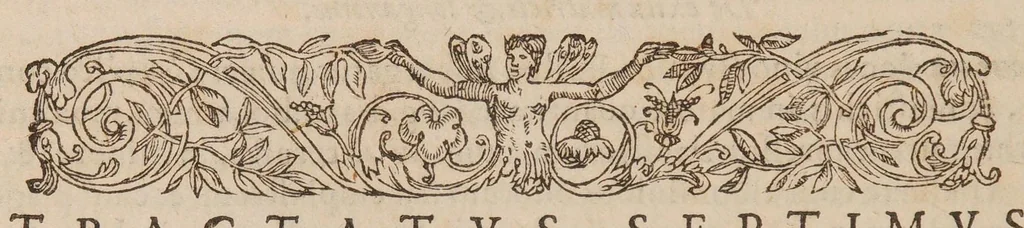 An illustration from Chirurgia magna, 1585, leaf 368