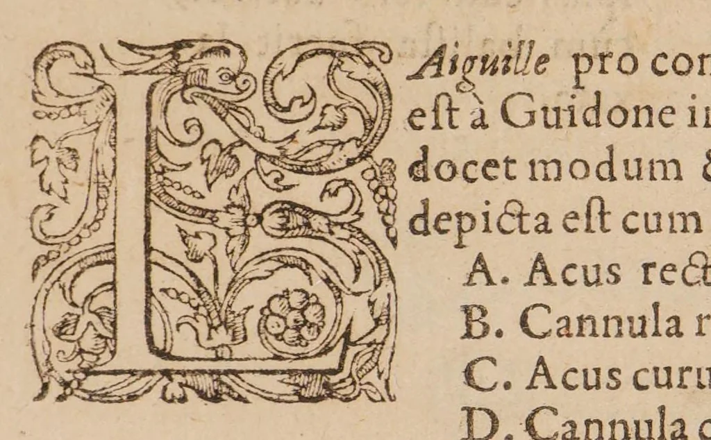 An illustration from Chirurgia magna, 1585, leaf 645
