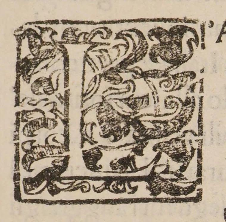 An illustration from Relazione dell'esperienze fatti Inghilerra, Francia ed Italia intorno alla celebre e famosa trasfusione del sangue per tutto maggio 1668. In cui oltre all'oppugnationi, e difese si vede la sanità restituita ad alcuni infermi e particolarmente à un pazzo. La maniera di facilmente pratticarla negli huomini; e la minuta descrittione di essa [by A. Libavius] stampata fino nel principio di questo secolo, 1668, leaf 11