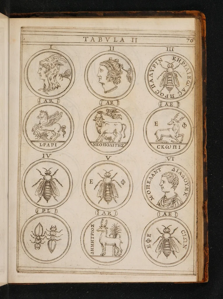 An illustration from Symbolica Dianae Ephesiae statua ... exposita, 1657, leaf 107