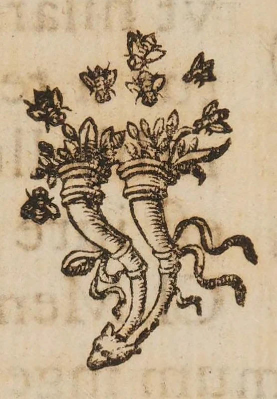 An illustration from Symbolica Dianae Ephesiae statua ... exposita, 1657, leaf 18