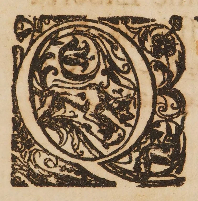 An illustration from Quadripartitum melancholicum ... Quo variae quaestiones de melancholiae morbo, essentia, differentiis, causis, prognosi, curatione habentur. Et plura de morbo hypocondriaco ... innotescunt ..., 1644, leaf 11