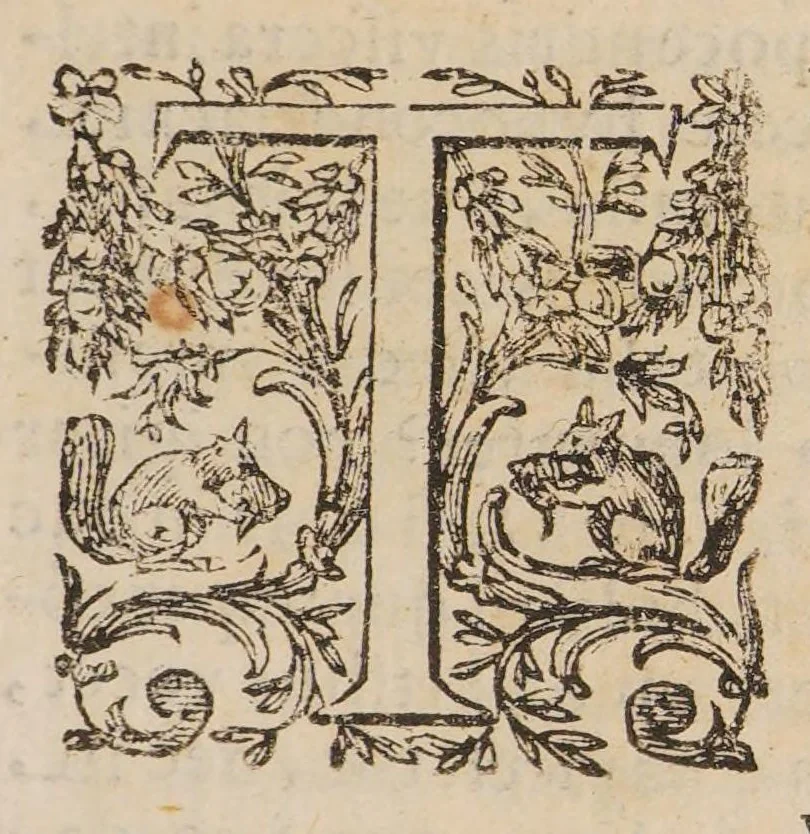 An illustration from Quadripartitum melancholicum ... Quo variae quaestiones de melancholiae morbo, essentia, differentiis, causis, prognosi, curatione habentur. Et plura de morbo hypocondriaco ... innotescunt ..., 1644, leaf 117