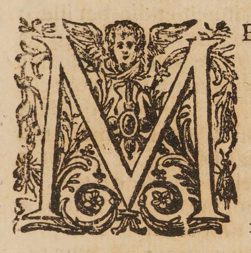 An illustration from Quadripartitum melancholicum ... Quo variae quaestiones de melancholiae morbo, essentia, differentiis, causis, prognosi, curatione habentur. Et plura de morbo hypocondriaco ... innotescunt ..., 1644, leaf 13