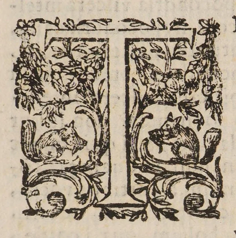 An illustration from Quadripartitum melancholicum ... Quo variae quaestiones de melancholiae morbo, essentia, differentiis, causis, prognosi, curatione habentur. Et plura de morbo hypocondriaco ... innotescunt ..., 1644, leaf 117