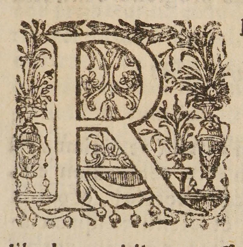 An illustration from Quadripartitum melancholicum ... Quo variae quaestiones de melancholiae morbo, essentia, differentiis, causis, prognosi, curatione habentur. Et plura de morbo hypocondriaco ... innotescunt ..., 1644, leaf 189