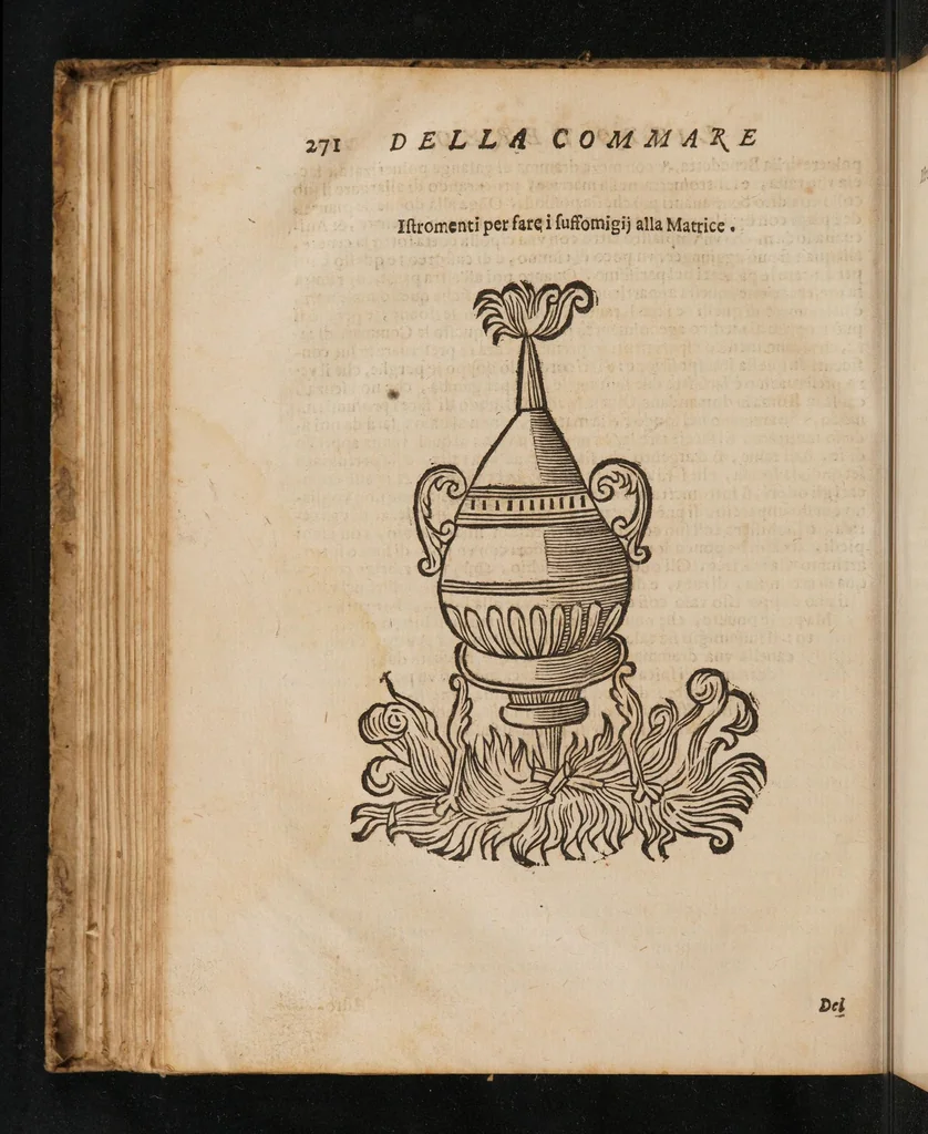 An illustration from La commare o raccoglitrice ... divisa in tre libri, 1676, leaf 302