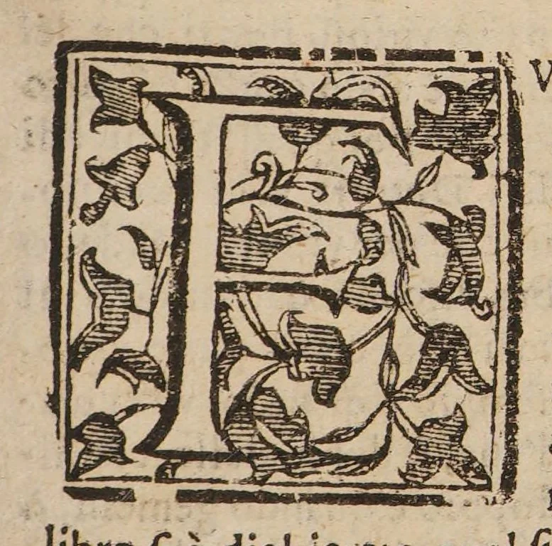 An illustration from La commare o raccoglitrice dell' eccellentissimo signor Scipion Mercurio ... divisa in tre libri, 1654, leaf 141