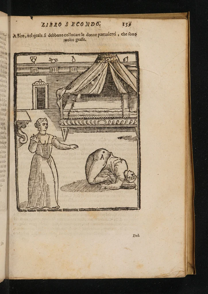 An illustration from La commare o raccoglitrice dell' eccellentissimo signor Scipion Mercurio ... divisa in tre libri, 1654, leaf 193