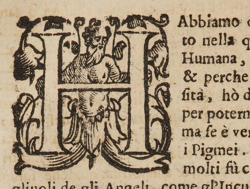 An illustration from La commare o raccoglitrice dell' eccellentissimo signor Scipion Mercurio ... divisa in tre libri, 1654, leaf 234