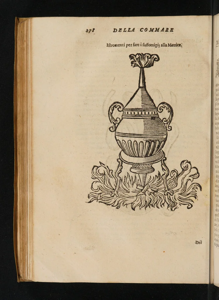 An illustration from La commare o raccoglitrice dell' eccellentissimo signor Scipion Mercurio ... divisa in tre libri, 1654, leaf 312