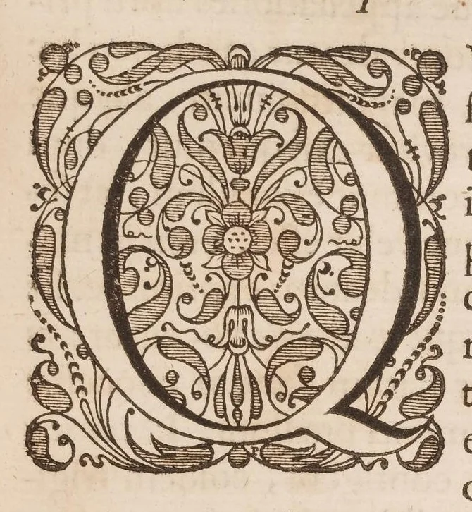 An illustration from Opera quae extant omnia, 1645, leaf 296