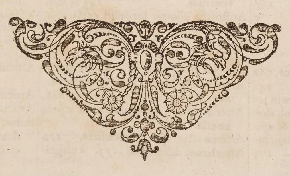 An illustration from Opera quae extant omnia, 1645, leaf 334