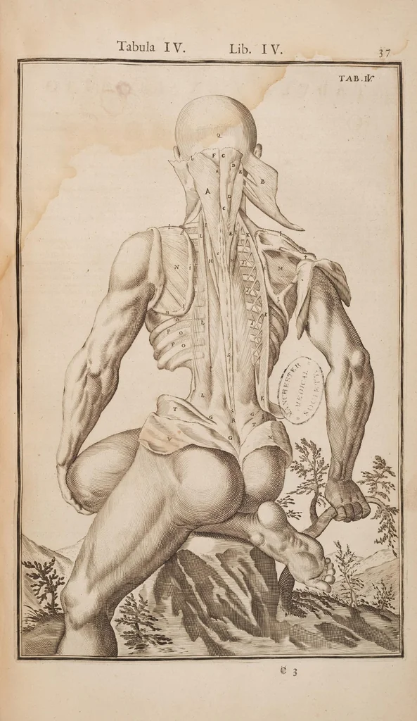 An illustration from Opera quae extant omnia, 1645, leaf 386