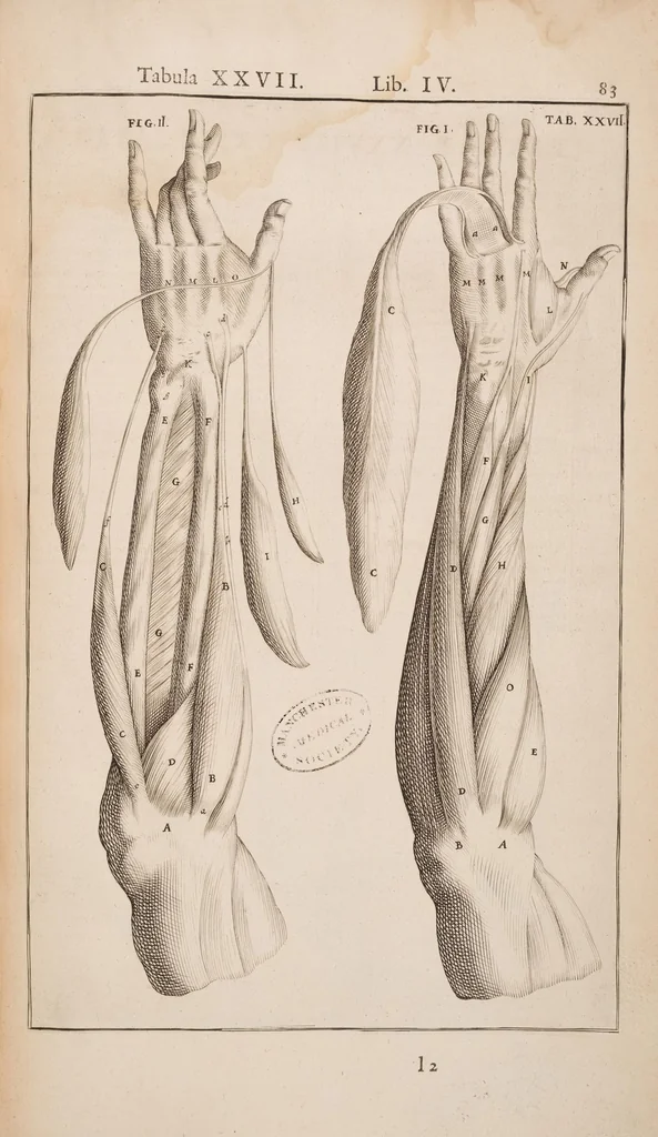 An illustration from Opera quae extant omnia, 1645, leaf 432