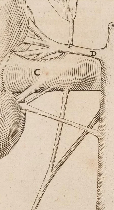 An illustration from Opera quae extant omnia, 1645, leaf 508