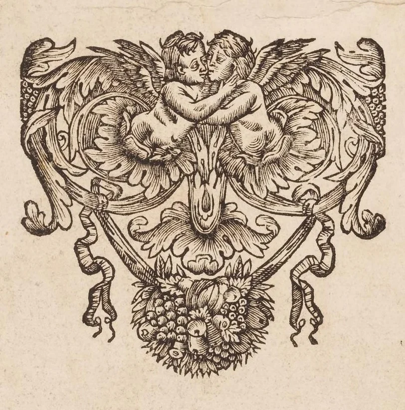 An illustration from Abregé d'anatomie, accommodé aux arts de peinture et de sculpture, et mis dans un ordre nouveau ..., 1667, leaf 21