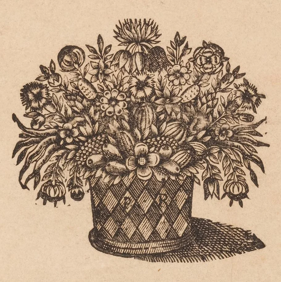 An illustration from Abregé d'anatomie, accommodé aux arts de peinture et de sculpture, et mis dans un ordre nouveau ..., 1667, leaf 6