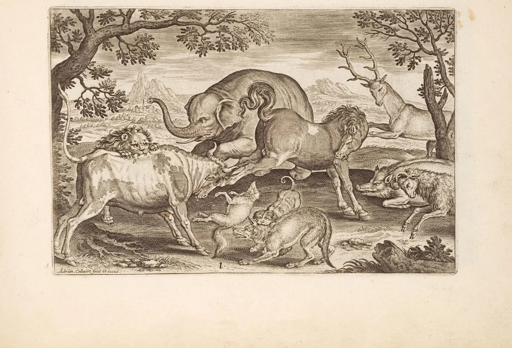 An illustration from Animalium quadrupedum omnis generis verae et artificiosissimae delineationes in aes, 1612, leaf 13