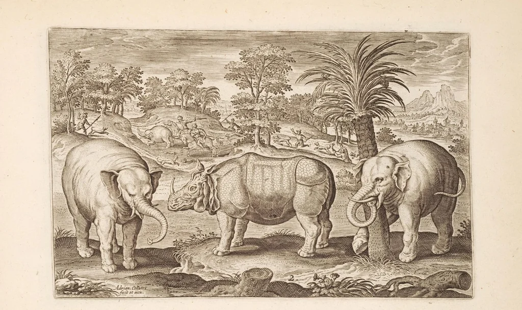 An illustration from Animalium quadrupedum omnis generis verae et artificiosissimae delineationes in aes, 1612, leaf 15