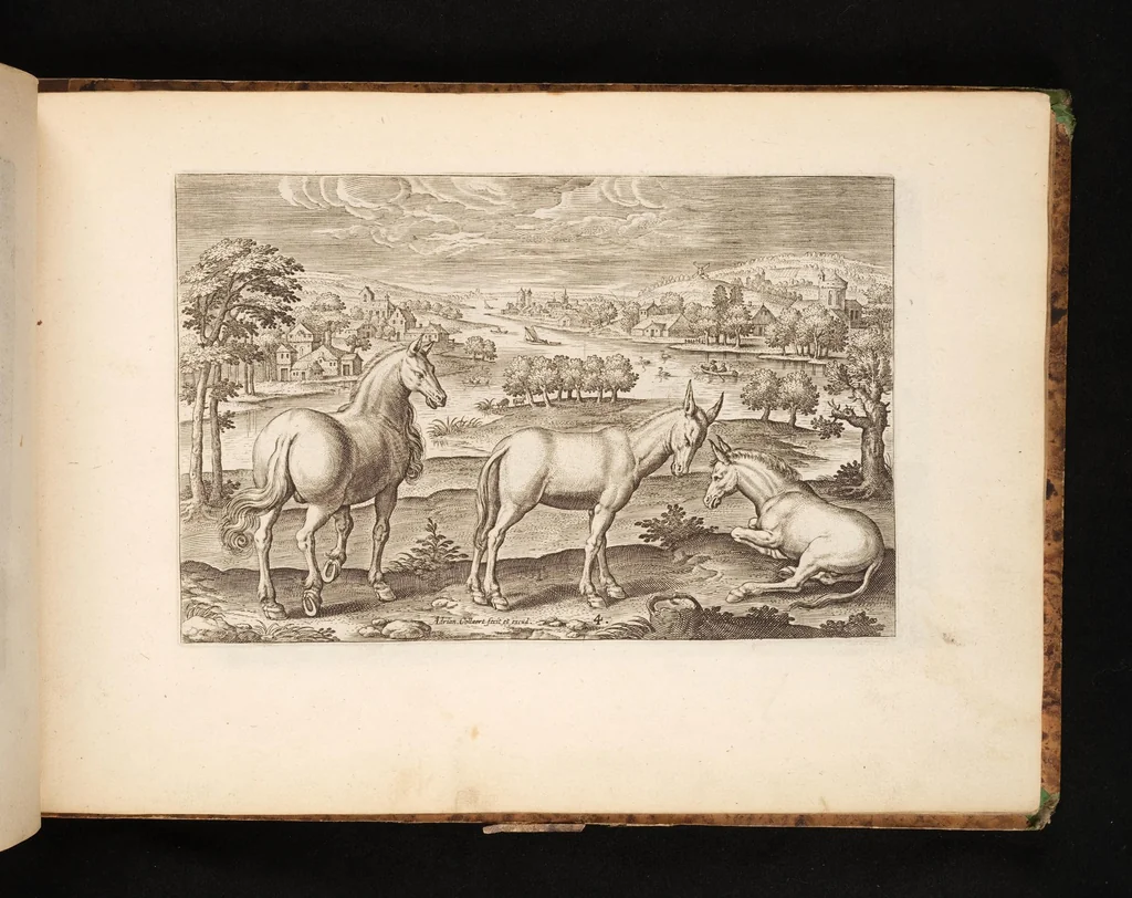 An illustration from Animalium quadrupedum omnis generis verae et artificiosissimae delineationes in aes, 1612, leaf 19