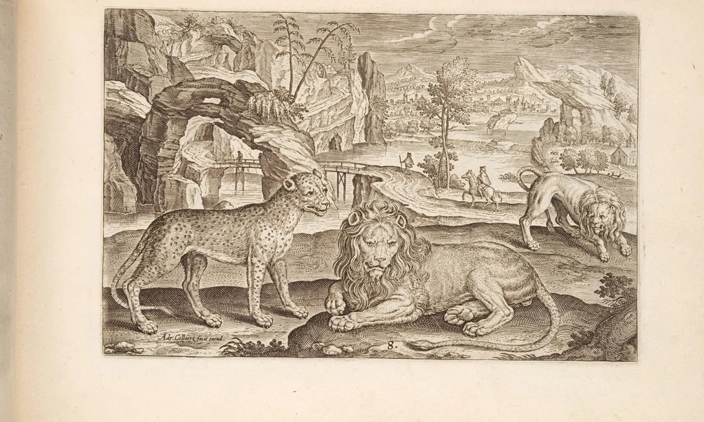 An illustration from Animalium quadrupedum omnis generis verae et artificiosissimae delineationes in aes, 1612, leaf 27