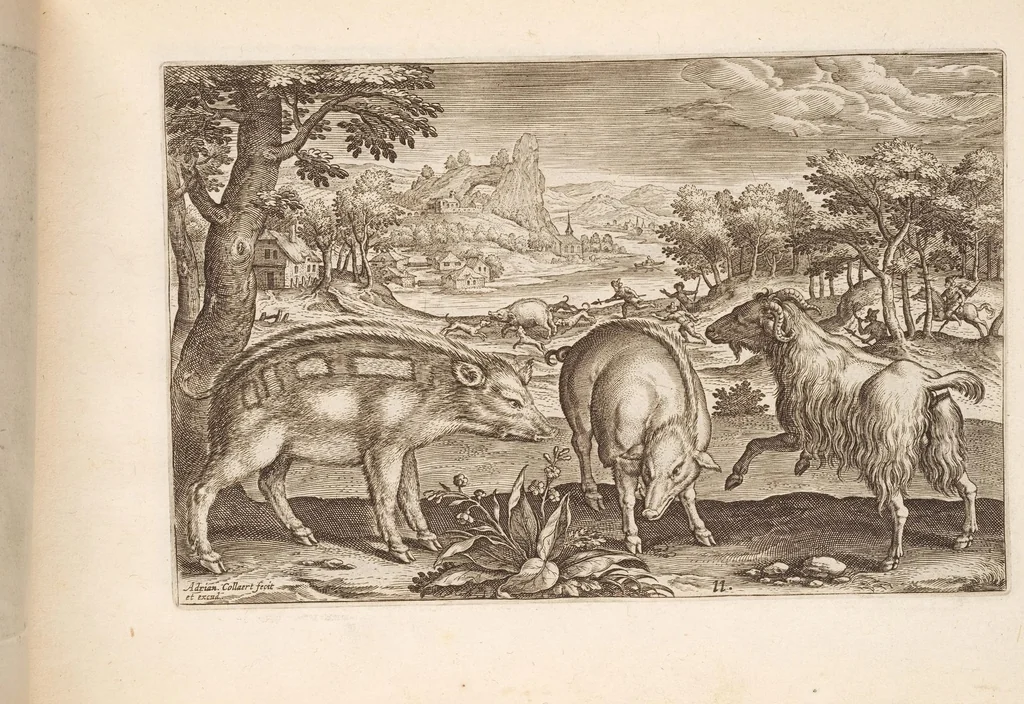 An illustration from Animalium quadrupedum omnis generis verae et artificiosissimae delineationes in aes, 1612, leaf 33