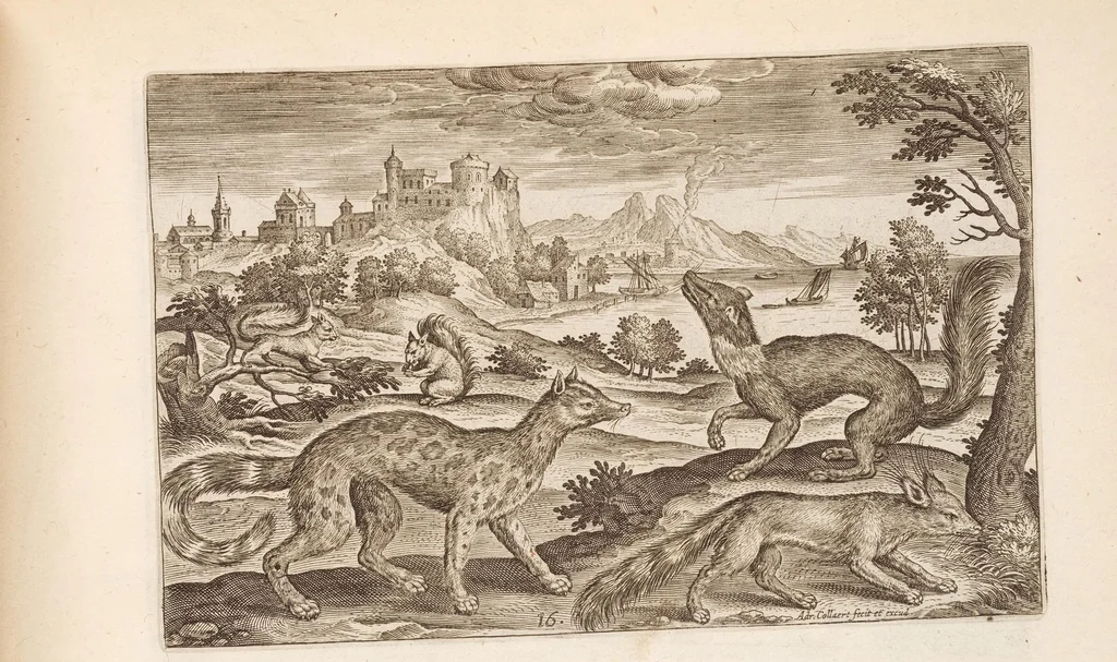 An illustration from Animalium quadrupedum omnis generis verae et artificiosissimae delineationes in aes, 1612, leaf 43