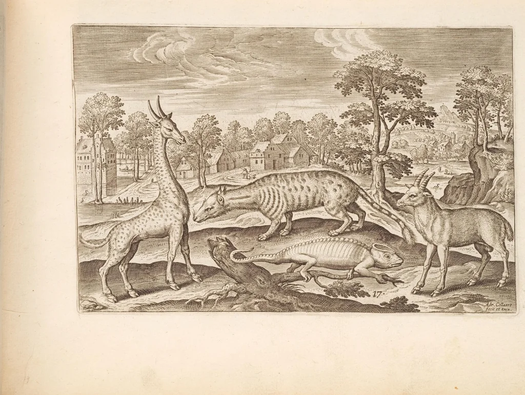 An illustration from Animalium quadrupedum omnis generis verae et artificiosissimae delineationes in aes, 1612, leaf 45
